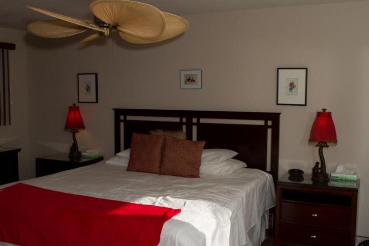 Sea Mountain Nude Resort&Spa Hotel - Adults Only Desert Hot Springs Exterior foto