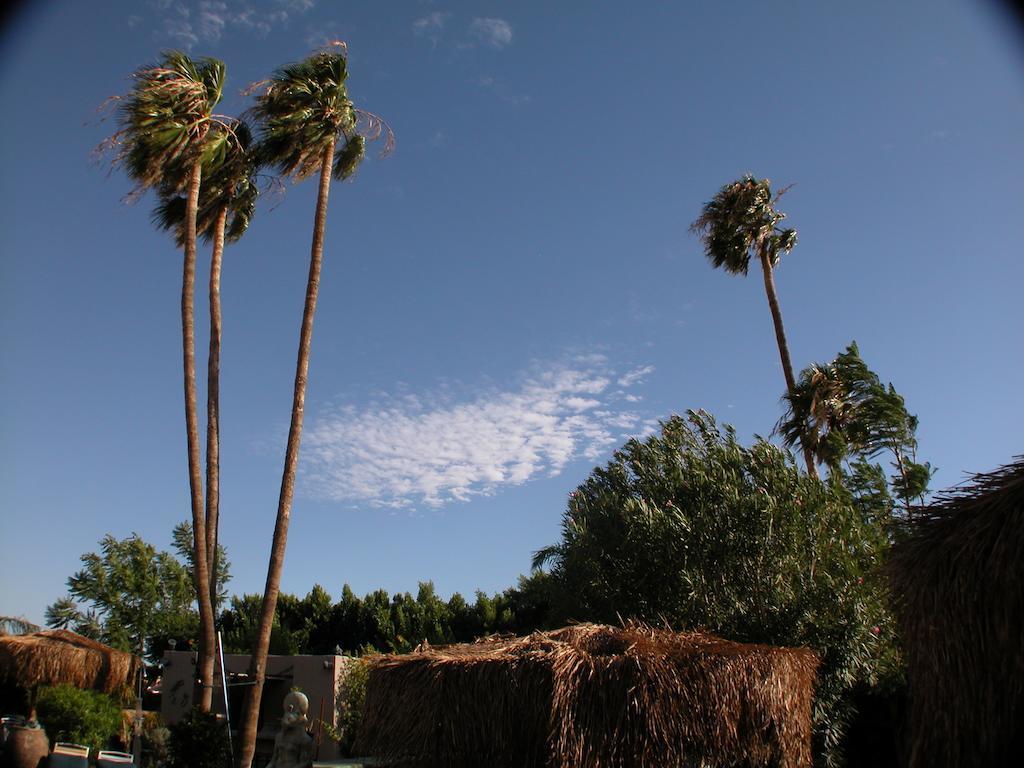 Sea Mountain Nude Resort&Spa Hotel - Adults Only Desert Hot Springs Exterior foto